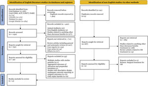 PRISMA flow diagram.