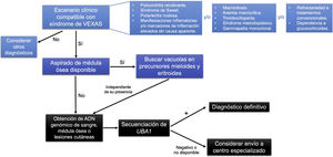 Algoritmo diagnóstico en el síndrome de VEXAS.
