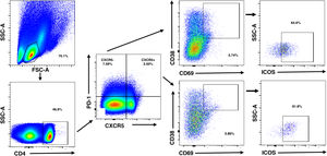 Flow cytometry strategy for the analysis of Tph and Tfh cells. PBMC were stained with the indicated mAb and analyzed by multi-parametric flow cytometry. According to this analysis, Tfh lymphocytes were defined as CD4+PD-1+CXCR5+CD38+CD69+ICOS+, whereas Tph cells corresponded to CD4+PD-1+CXCR5−CD38+CD69+ICOS+. Data correspond to a sample from a representative healthy control.