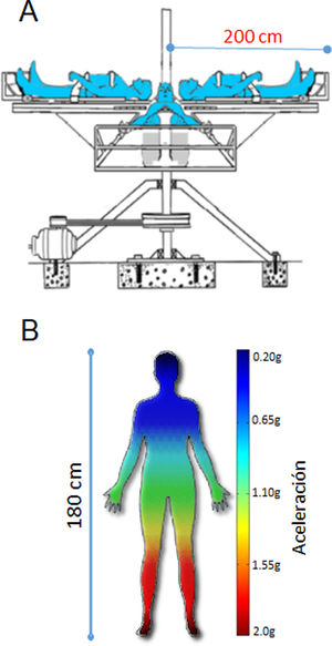 Dibujo de la centrífuga humana del Centro de Terapia Gravitacional y gradientes+Gz. A)Centrífuga de casi 2 metros de diámetro utilizada para las sesiones de TG en el Centro de Terapia Gravitacional en Montevideo, Uruguay. Máximo 4 pacientes en una sesión. B)Ejemplo de un gradiente de gravedad sobre un paciente de 180cm de altura expuesto a un máximo de 2g a nivel de los pies en un sistema de 2m de diámetro. Adaptado de: Isasi et al., 2022, doi: 10.3389/fphys.2022.952723.