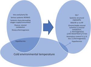 Scheme of the proposed model of cold Te adaptation in SSc patients. MVD: microvascular dysfunction; Tc: body core temperature. Cold ambient temperature has less effect on † non-onset (evolved) SSc patients. ‡ Especially on skin surfaces most exposed to cold Te and most thermoregulatory (rich in arteriovenous anastomosis); cheeks, fingers, nose.