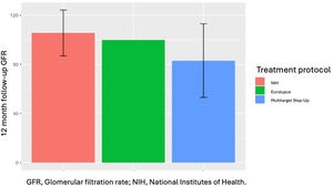 Treatment protocols for induction in lupus nephritis. Treatment protocols for induction in lupus nephritis.