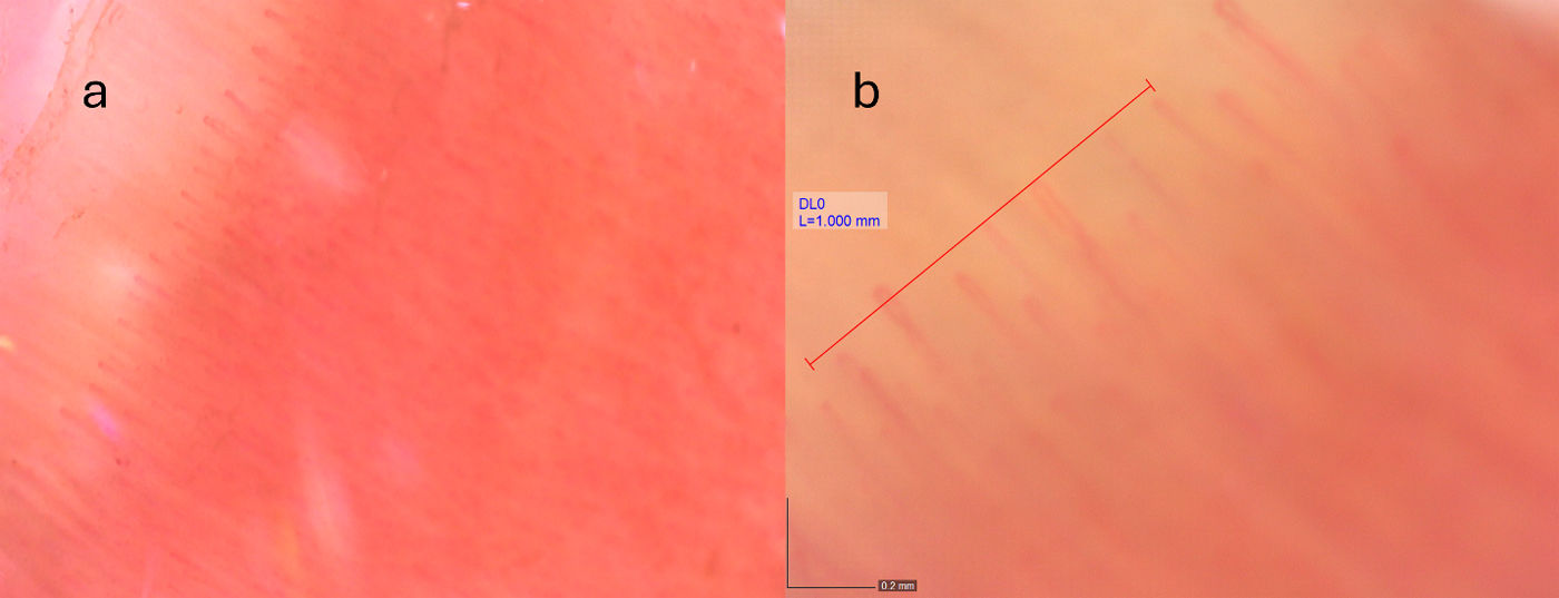 fig0005