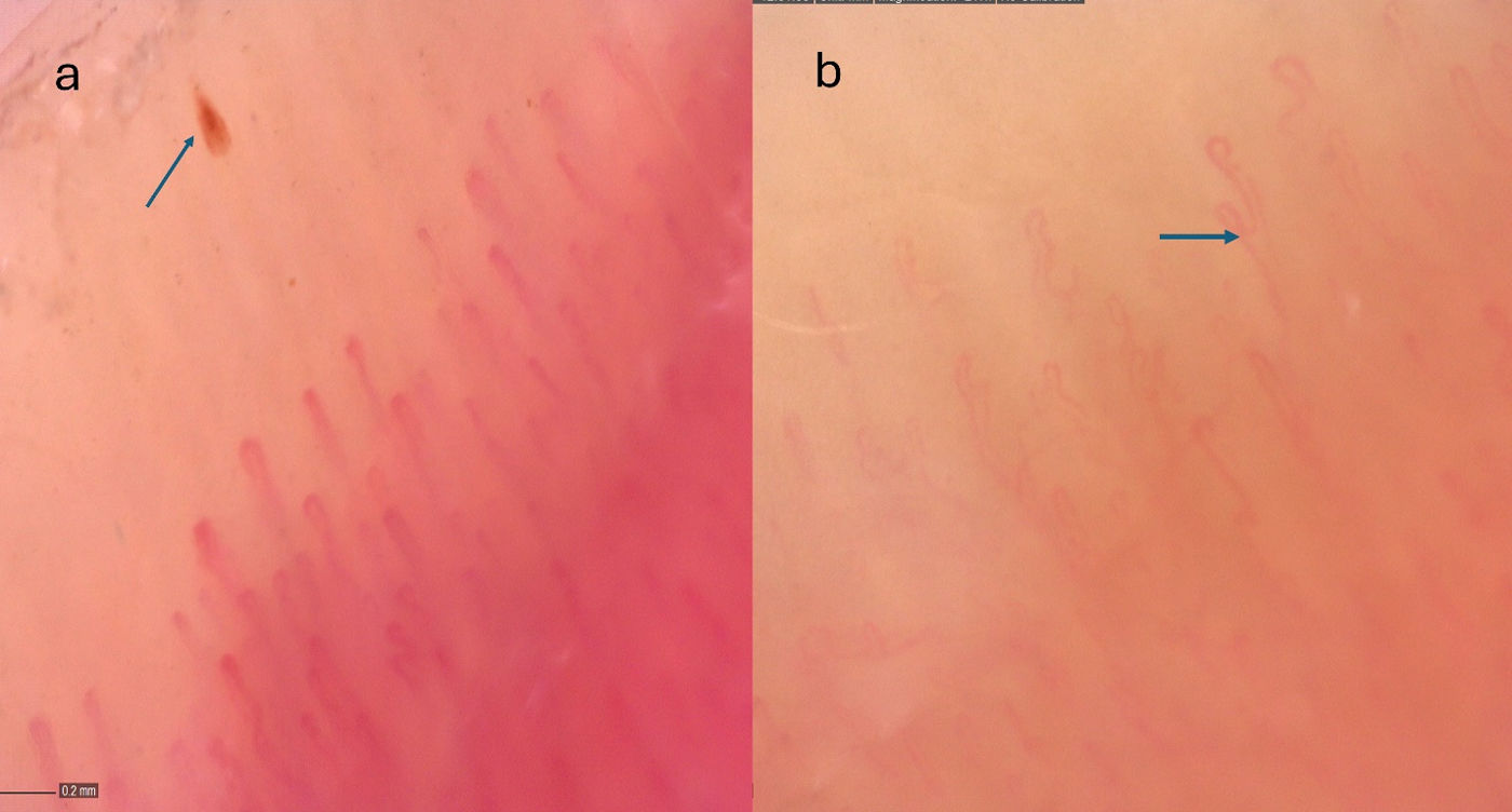 fig0010