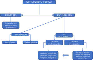 Propuesta de clasificación del neumomediastino. * Los factores precipitantes pueden actuar sobre los predisponentes.