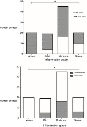 Differences in grades of inflammation in relation to H. pylori infection and presence of intestinal metaplasia. The grade of inflammation was significantly different between biopsies with and without H. pylori infection (p=0.002, x2), and between biopsies with and without intestinal metaplasia (p=0.002, x2). Top: Grade of inflammation in relation to H. pylori infection. Bottom: Grade of inflammation in relation to presence of intestinal metaplasia.