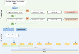 Actualización del algoritmo diagnóstico con muestra pequeña en pacientes con CPNCP.[[[[FP]]]] ALK: anaplastic lymphoma kinase; BRAF: B-Raf proto-oncogene; CPNCP: carcinoma de pulmón de células no pequeñas; EBUS: endobronchial ultrasound; EGFR: epidermal growth factor receptor; EUS: endoscopic ultrasound; FISH: hibridación fluorescente in situ; IHQ: inmunohistoquímica; KRAS: kirsten rat sarcoma virus; MetEx 14: mesenchymal epithelial transition factor exon 14; NGS: next-generation sequencing; NTRK: neurotrophic tyrosine receptor kinase; PAAF: punción por aspiración con aguja fina; PAAF-B: biopsia por aspiración con aguja fina; PCR: polymerase chain reaction; PD-L1: programmed death ligand-1; ROS1: c-ros oncogene 1; RET: rearranged during transfection; ROSE: rapid on site evaluation.