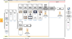 Actualización del protocolo para el análisis de múltiples biomarcadores en una muestra biológica de CPNCP.[[[[FP]]]]El número de secciones de cada prueba se muestra en azul. aLos requisitos para la extracción de ácido nucleico en pruebas moleculares individuales o paneles genéticos extendidos (NGS) son variables. Figura modificada de Conde E, et al. (confidencial, enviado). AC: adenocarcinoma; ALK: anaplastic lymphoma kinase; BRAF: B-Raf proto-oncogene; CPNCP: carcinoma de pulmón de células no pequeñas; CPNCP-NE: CPNCP subtipo no especificado; EGFR: epidermal growth factor receptor; FISH: hibridación fluorescente in situ; H&E: haematoxylin and eosin; IHQ: inmunohistoquímica; KRAS: kirsten rat sarcoma virus; MET: mesenchymal epithelial transition factor; NGS: next-generation sequencing; NTRK: neurotrophic tyrosine receptor kinase; PCR: polymerase chain reaction; PD-L1: programmed death ligand-1; RET: rearranged during transfection; ROS1: c-ros oncogene 1.