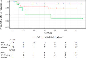 Kaplan–Meier curves showing the overall probability of non-recurrence, stratified by the most common architectural patterns (red line: flat; green line: undulating; blue line: villous). Time in months is displayed on the x-axis, and the probability of non-recurrence is shown on the y-axis. At the bottom of the figure, a risk table indicates the number of patients at risk at each time point.