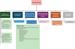Advances in the understanding of tumour cellular origin, cytopathology, molecular characteristics, and biological behaviour.