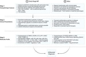 Integrated differential diagnosis criteria for early-stage mycosis fungoides versus benign inflammatory dermatoses (BIDs). The profiles of both conditions are compared across three levels of analysis: Histopathological (Step 1), Clinical (Step 2) and Molecular (Step 3). Integration of data from all three levels is essential to reach a definitive diagnosis.