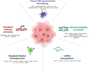 Molecular mechanisms driving the progression of early-stage MF. The figure illustrates the key molecular alterations underlying the transition of MF from its early phases to advanced disease, including activation of oncogenic signalling pathways, overexpression of neoplastic markers, dysregulation of microRNAs, genomic instability and somatic mutations, and remodelling of the lesional microenvironment. These changes collectively promote immune escape and the uncontrolled expansion of malignant T cells.