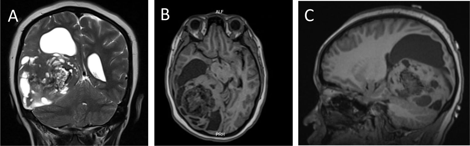 fig0005