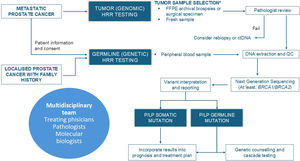 Tumour and germline testing algorithm for metastatic prostate cancer. ARSi, androgen receptor pathway inhibitor; ctDNA, circulating tumour DNA; LP, likely pathogenic; P, pathogenic; PARPi, PARP inhibitor QC, quality control. *Select the most recent sample with the highest percentage of tumour content, highest Gleason score, and best overall quality. Tissue blocks most suitable for molecular diagnosis should be clearly identified and properly stored.
