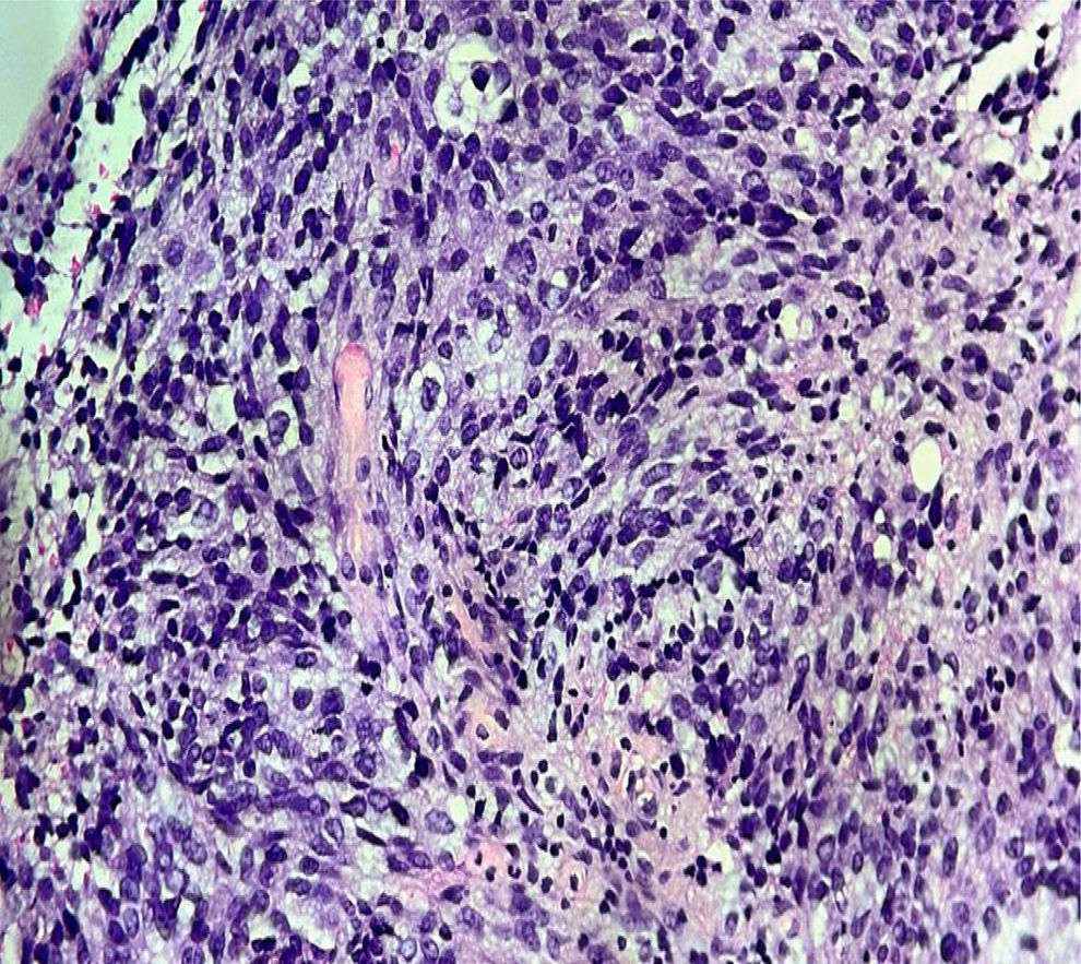 fig0010