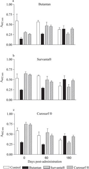 Antibody levels against (a) Butantan, (b) Survanta, and (c) Curosurf surfactant proteins in the sera of rabbits after intratracheal administration. Bars represent mean absorbance ± SD obtained for a 1:100 dilution of the sera. Data were analyzed by one-way analysis of variance (ANOVA) and Tukey's multiple comparison test considering P<0.05 (GraphPad Prism, 2.0, 1995).