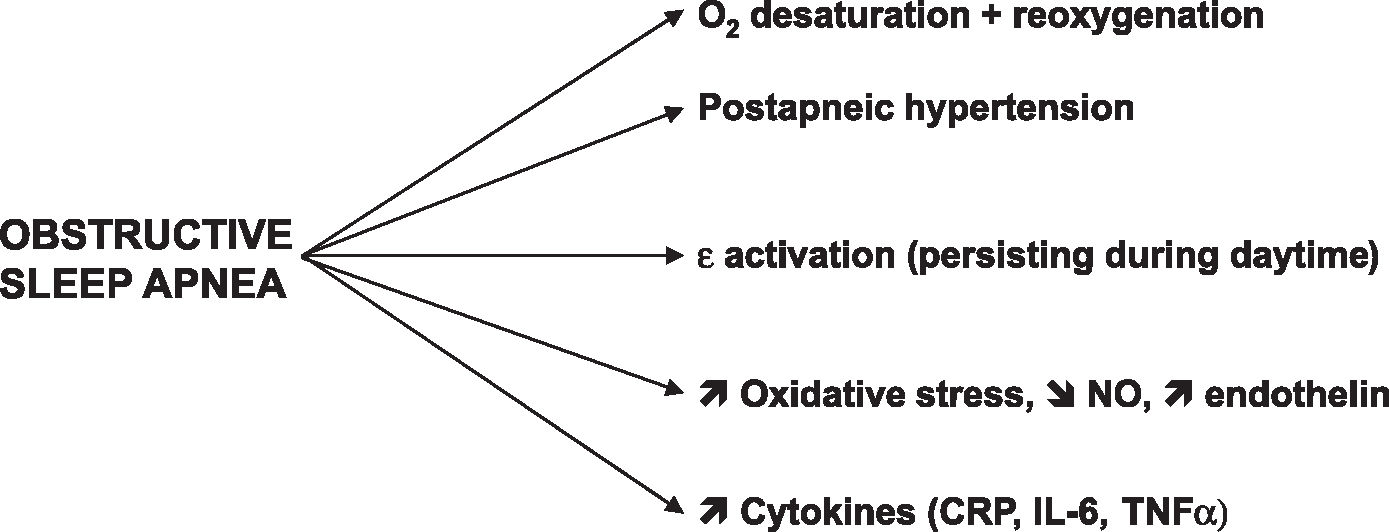 OBSTRUCTIVE SLEEP APNEA AND INSULIN RESISTANCE: A ROLE FOR ...