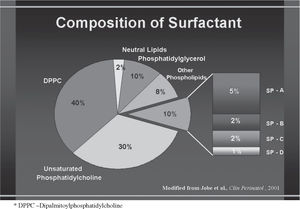 THE IMPORTANCE OF SURFACTANT ON THE DEVELOPMENT OF NEONATAL PULMONARY ...