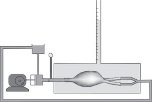 Schematic representation of the perfusion system.