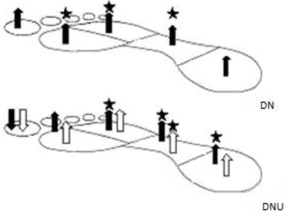 Plantar Pressure Distribution Patterns During Gait in Diabetic ...