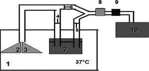 Mechanical model. Components include: a large plastic box maintained at 37°C (1), preserved swine lungs (2, 3) and a cascade-type humidifier (7) inside the box. Three unidirectional valves (4, 5 and 6) were inserted within the tubing section external to the box (representing the airway) to direct flow through the humidifier prior so that it could ventilate the lungs. In this same simulated airway segment, a sensor (Vaisala, HMI 32, Woburn, MA, USA) (8) was positioned to detect AH and temperature. The HME (9) under test was individually installed using a random sequence for each testing period. A mechanical ventilator (10) was used to simulate different ventilatory conditions.