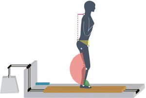 The movable support surface provided forward and backward standardized perturbations with a mechanical trigger. The variables measured included ankle angle, knee angle, pelvic antepulsion, pelvic anteversion and trunk position
