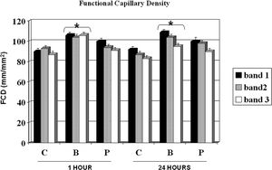 The functional capillary density on bands I, II, and III among the control (C), Buflomedil (B), and Pentoxifylline (P) groups. These groups were evaluated 1 and 24 h after skin flap preparation. *p < 0.05 compared to controls