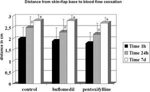 Distance from the skin flap base to blood flow cessation in the control, Buflomedil, and Pentoxifylline groups. These groups were evaluated 1 (Time 1h) and 24 (Time 24h) hours and 7 (Time 7d) days after skin flap preparation. *,# p < 0.05 compared to Time 1h