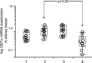 Box diagram comparing relative GST-α3 mRNA expression levels in kidney tissues in Groups 1, 2, 3 and 4. The horizontal line within the box plot represents the median value, the box plot limits refer to 25th to 75th percentiles, and the box plot bars include the 10th to 90th percentiles for mRNA levels.