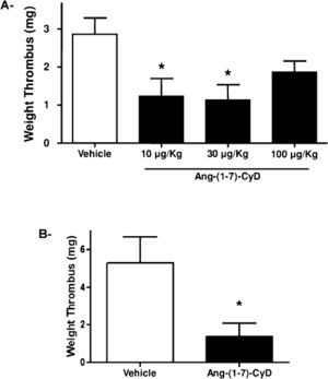 Ang-(1-7)-CyD promoted antithrombotic effects in SHRs. A) Acute treatment with Ang-(1-7)-CyD (five hours before thrombus induction) inhibited thrombus formation when administered in doses of the equivalent of 10 μg/kg or 30 μg/kg of Ang-(1-7). B) Chronic administration of Ang-(1-7)-CyD [equivalent of 30 μg/kg of Ang-(1-7) per day] over the course of eight weeks promoted a strong inhibition of thrombus formation in SHRs. *p<0.05 significantly different from the respective control group treated with CyD (one-way ANOVA for panel A and unpaired Student's t-test for panel B). Each column represents the mean ± SEM from 7-10 experiments.