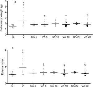 Mean and individual values of (A) pulmonary weight (g) and (B) edema index. Controls or vagotomized rats pretreated with saline (C and V) or with 5 mg/kg (CA 5 and VA 5), 10 mg/kg (CA 10 and VA 10) or 20 mg/kg (CA 20 and VA 20) aminoguanidine. † statistically different from vagotomized (p<0.01), ‡statistically different from control group (p<0.001), § statistically different from vagotomized (p<0.001).