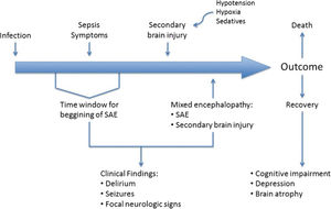Timeline of sepsis-associated encephalopathy (SAE). Although SAE may precede other symptoms of sepsis, a diagnosis is usually missing until mixed encephalopathy becomes overt. Outcomes are variable and may be related to the degree of encephalopathy and the occurrence of prior neurological disorders.