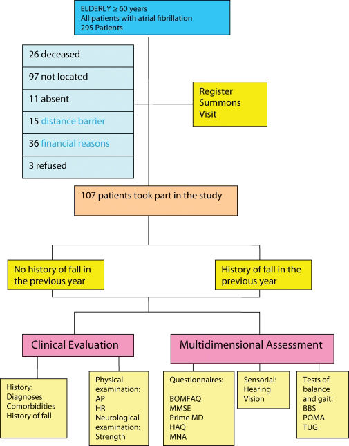 Predictors of the risk of falls among elderly with chronic atrial ...