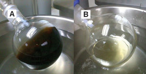 The dark PCLTF macromer (A) was dark brownish and opaque, whereas the white PCLTF macromer (B) was light yellow and translucent.