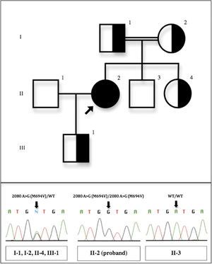 Top: Family pedigree. Bottom: Individual genotypes and corresponding DNA sequence chromatograms. The nucleotide position refers to the MEFV mRNA sequence, with the A of the start codon designated as nucleotide 1. WT: wild type. Individual II-1 was not evaluated.