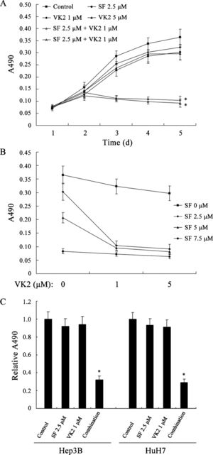 Combined treatment with sorafenib and VK2 inhibits HCC cell growth. (A) Growth inhibition of HepG2 cells by sorafenib, VK2 or the two in combination. (B) The growth-inhibitory effects of VK2 in addition to various sorafenib concentrations. (C) Growth inhibition of Hep3B and HuH7 cells by sorafenib, VK2 or the two in combination. SF: sorafenib. Each point represents the mean±SD of three independent experiments. ∗ p<0.05 vs. control or single-agent treatment.