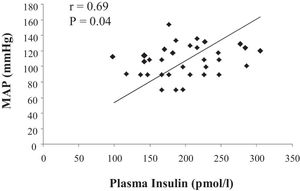 Correlation between plasma insulin and mean arterial pressure (MAP) in the control (C) and monosodium glutamate-treated (MSG) rats (r = 0.69, p =0.04).