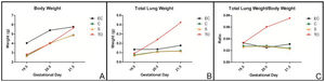 Morphological results: BW: Body weight (A), TLW: Total lung weight (B) and TLW/BW ratio (C).