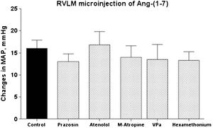 Average change in the mean arterial pressure (MAP, mmHg) produced by bilateral microinjection of Ang-(1-7) (25 pmol) into the RVLM of control animals (n = 12) or rats treated with prazosin (90 μg/kg, n = 6); atenolol (2.5 mg/kg, n = 6); M-atropine (M-atropine, 2.0 mg/kg, n = 5); VP V1 receptor antagonist (VPa, 10 μg/kg, n = 6); or hexamethonium (20 mg/kg, n = 6).