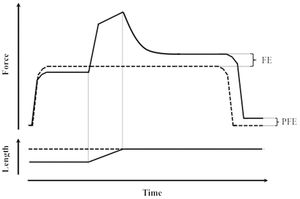 Schematic representation of muscle residual force enhancement. Both panels show two representative superimposed contractions from the same muscle as it is first activated, stretched to a certain final length, relaxed (solid lines), and then isometrically activated and kept at the same final length before being relaxed again (dashed lines). Top panel: force traces. Bottom panel: length traces. FE: force enhancement. PFE: passive force enhancement.