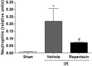 Reparixin reduces neutrophil activity in the brain after middle cerebral artery occlusion/reperfusion (MCAo) in mice. The figure shows myeloperoxidase (MPO) activity in mice not subjected to MCAo (Sham) or subjected to MCAo with pre-administration of vehicle (Vehicle) or reparixin (30 mg/kg, s.c.) 60 minutes before MCAo procedures. The results are expressed as the means ± SEM (n = 6). * p<0.05 compared to Sham group. # p<0.05 compared to vehicle. (ANOVA followed by Newman-Keuls posthoc test).