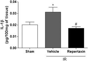Reparixin reduces the levels of IL-1β in the brain after middle cerebral artery occlusion/reperfusion (MCAo) in mice. Bars represent levels of IL-1β (pg/100 mg) measured by ELISA in the brain tissues of mice subjected or not (SHAM) to MCAo and pretreated with vehicle or reparixin (30 mg/kg, s.c.). The results are expressed as the means ± SEM (n = 6). *p<0.05 compared to Sham group. # p<0.01 compared to Vehicle. (ANOVA followed by Newman-Keuls posthoc test).