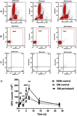 Changes in circulating CD45−/low+CD133+CD34+KDR+ EPCs in NDM and T2DM patients with AMI. The EPC counts in the peripheral blood were determined by flow cytometry before acute PCI and on days 1, 3, 5, 7, 14, and 28 after PCI. (A–C) Flow cytometric analysis of EPCs for each group. (A) CD45−/low+ EPC subset analysis was conducted on the Gate1 region using PerCP-Cy5.5-labeled antibodies against CD45. (B) The proportion of CD34+ cells was analyzed in the Gate2 region by flow cytometry using FITC-labeled antibodies against CD34. (C) The proportion of CD133+KDR+ cells was analyzed in the F2 region by two-color flow cytometry using PE-labeled antibodies against CD133 and APC-labeled antibodies against KDR. (D) EPC kinetics over time for all three groups. a: p<0.05 vs. the T2DM controls at the same time point; b: p<0.05 vs. the perindopril-treated T2DM group at the same time point; c: p<0.05 vs. the NDM controls at the same time point; d: p<0.05 vs. the T2DM controls at the peak point.