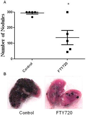 In vivo evaluation of pulmonary melanoma metastasis after treatment with FTY720. A) C57BL/6 male mice were injected i.v. with 3×105 B16F10-Nex2 melanoma cells. The mice were treated by gavage with PBS (Control) or with FTY720 (5 mg/kg/day) for 7 days starting on the day of tumor cell inoculation, and the number of metastatic nodules in the lungs was evaluated 8 days after the last dose of the compound (n = 5 animals per group). ∗p<0.04. B) Representative images of C57BL/6 mouse lungs 15 days after melanoma cell inoculation.