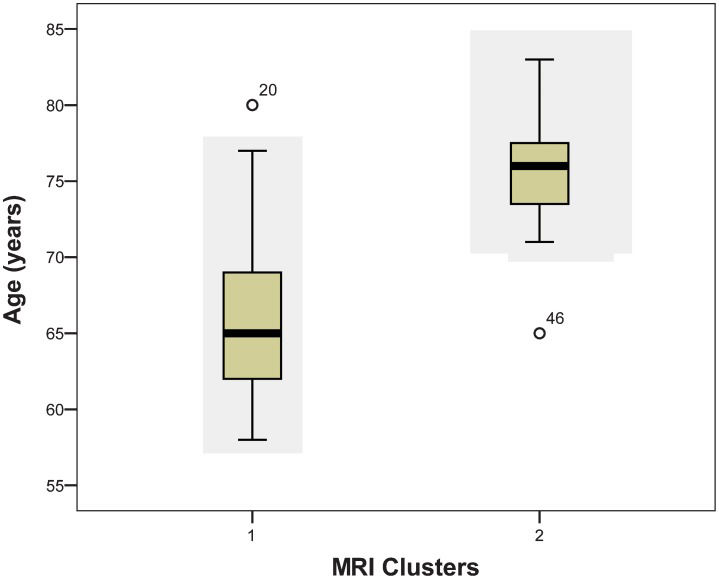 Magnetic resonance imaging and neuropsychological testing in the ...
