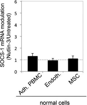 Lack of transcriptional modulation of SOCS-1 by Nutlin-3 in normal cells. Normal adherent PBMC, endothelial cells, and MSC were exposed to Nutlin-3 (10 μM). Levels of SOCS-1 mRNA were analyzed by quantitative RT-PCR. The results are expressed as the fold increase in SOCS-1 modulation by Nutlin-3 after 24 hours of treatment with respect to the control untreated cultures (set to 1) (hatched line). Data are reported as the mean±SD of the results from at least three experiments, each performed in triplicate.
