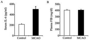 Effect of MCAO on levels of IL-6 and FIB. Supplemental figure 3A shows the serum IL-6 level significantly increased in rats undergoing MCAO operation when compared with that in normal control rats (501.6±25.2 pg/ml vs.212.6±12.9 pg/ml). Supplemental figure 3B shows that the plasma FIB level was not changed in rats undergoing MCAO procedures when compared with that in normal control rats.