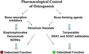 Summary of the main drugs used in the control of osteogenesis.