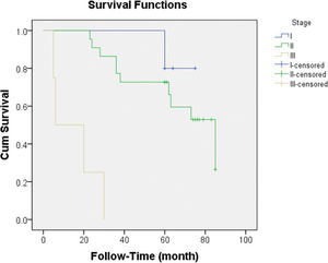 Survival curves of patients with different stages of endometrial cancer.
