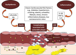 Increased cholesterol concentrations with oxidized lipoproteins and inflammatory stimuli through the release of cytokines with subsequent increase in C-reactive protein. Both pathways are related to classic risk factors and contribute to the development of and complications associated with vulnerable atherosclerotic plaques. Thus, lipid and high-sensitivity C-reactive protein determinants provide additional information regarding cardiovascular risk. Strategies to control both mechanisms appear germane to decreasing the global cardiovascular disease burden, independent of ethnicity or geographic region.